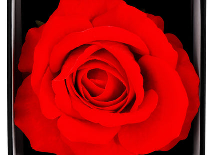 Eeuwige Roos - Geschenkdoos - Geschenkbloem - Liefde - Valentijnsdag - Zwart