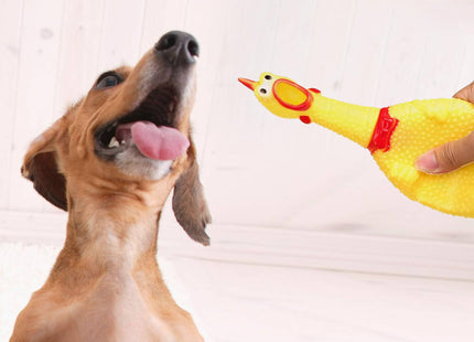 Honden Speelgoed - Kip - Piepend - Duurzaam - Hondenspeeltje - 37 cm