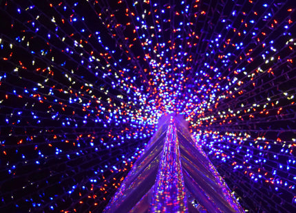 Kerstverlichting | 81,5 m | 1000 LED | Multicolor + Koel Wit Flits