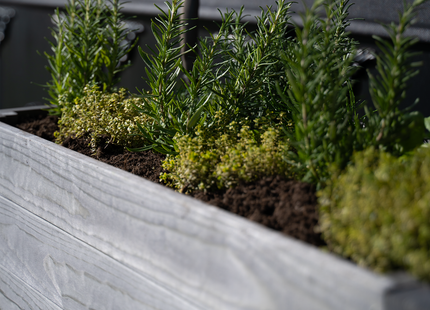 Kweekbak - Plantenbak - Moestuin - Planten - Hout - Geïmpregneerd - Rechthoekig - Grijs - 80 x 40 x 50 Cm