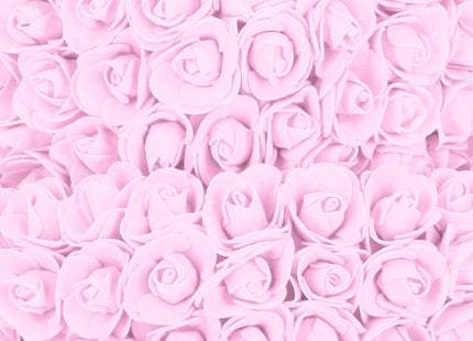 Rozen Beer | Rozenbeer | Rose Bear | Rozen Teddybeer | Liefde | Inclusief Giftbox | 36 x 26 x 26 cm | Roze / Zwart