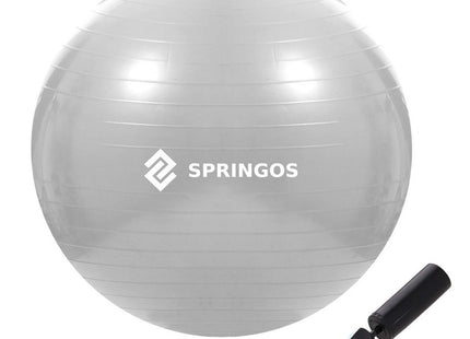 Fitness Bal | Grijs | Inclusief Pomp | 75 cm