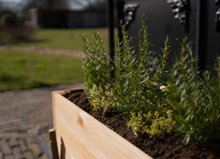Kweekbak - Plantenbak - Moestuin - Planten - Hout -Rechthoekig - Naturel - 80 x 40 x 50 Cm