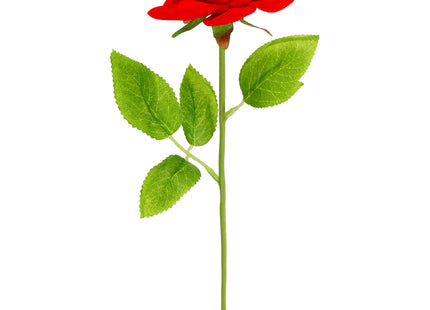 Eeuwige Roos - Geschenkdoos - Geschenkbloem - Liefde - Valentijnsdag - 27 cm