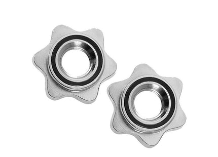 Haltersluiting | Chroom | 2 Stuks | 28 mm