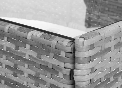 Tuinset - 4 Delig - Stoelen - Bank - Tafel - Rotan - Grijs