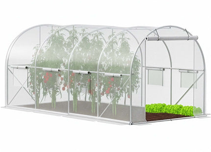 Kweekkas - Tuinkas - Broeikas - Plantenkas -Folie - 450x250x200 CM