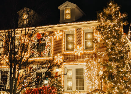 Kerstverlichting | 30 m | 500 LED | Warm Wit