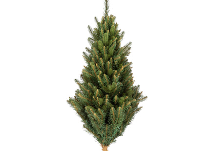 Kunstkerstboom | Siberian Spruce | 150 cm | Zonder Verlichting | Royal Trees | Opbergtas