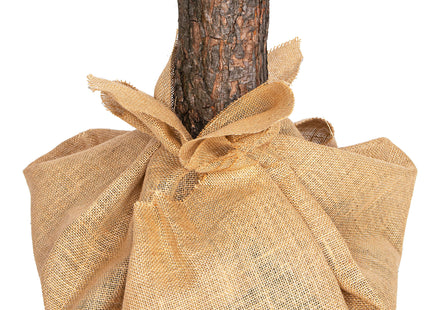 Kunstkerstboom | Snowy Pine Op Stam | 180 cm | Zonder Verlichting
