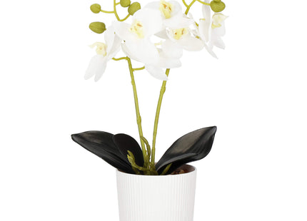 Kunst Orchidee - Kunstplanten -Inclusief Pot - Wit - 33.5 cm