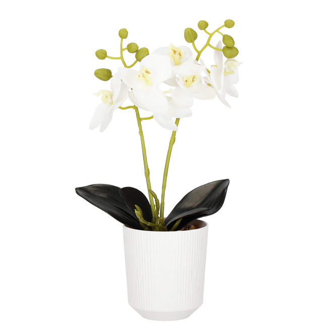 Kunst Orchidee - Kunstplanten -Inclusief Pot - Wit - 33.5 cm