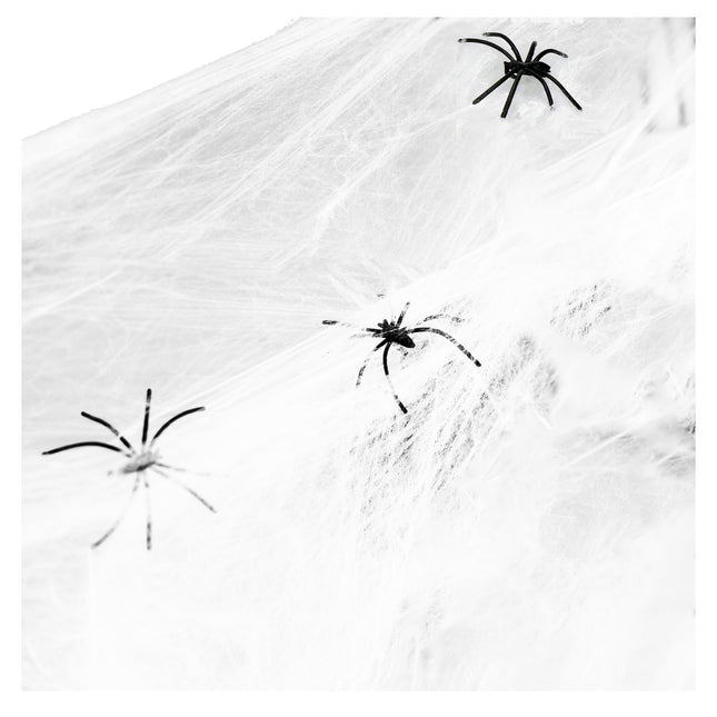 Halloween Decoratie - Spinnenweb - 2 Spinnen - 3,5 M