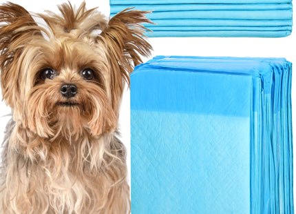 Puppy Training Pads| Plasmatjes Hond | Zindelijkheidstraining | 10 Stuks | 35 x 45 cm
