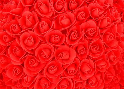 Rozen Beer | Rozenbeer | Rose Bear | Rozen Teddybeer | Liefde | Inclusief Giftbox | 68 x 50 x 48 cm | Rood / Wit