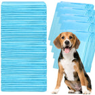 Puppy Training Pads| Plasmatjes Hond | Zindelijkheidstraining | 100 Stuks | 40 x 60 cm
