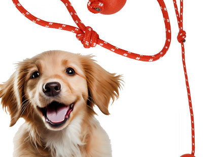 Honden Speelgoed - Duurzaam - Hondenspeeltje - Rood