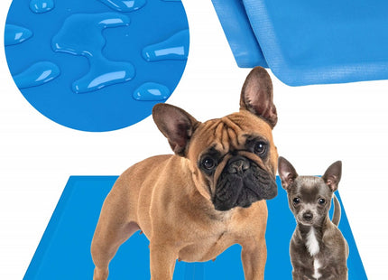 Koelmat Hond | Actieve Verkoelende Gel | 1 Stuk | 40 x 30 cm | Blauw