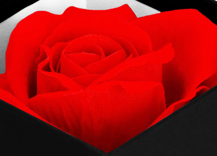 Eeuwige Roos - Geschenkdoos - Geschenkbloem - Liefde - Valentijnsdag - Zwart