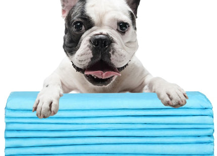 Puppy Training Pads | Plasmatjes Hond | Zindelijkheidstraining | 10 Stuks | 40 x 60 cm