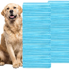 Puppy Training Pads | 100 Stuks | 60 x 90 cm | Zindelijkheidstraining