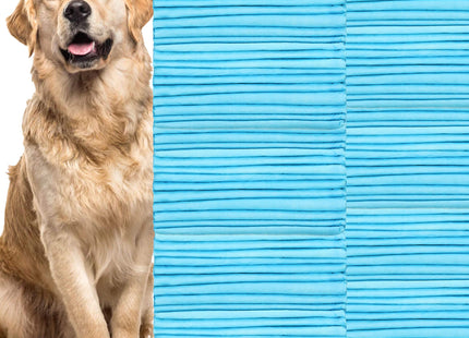 Puppy Training Pads| Plasmatjes Hond | Zindelijkheidstraining | 100 Stuks | 60 x 60 cm