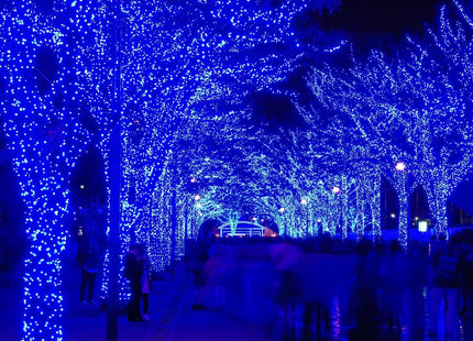 Kerstverlichting | 15 m | 300 LED | Blauw